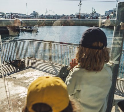 Kinder erkunden die V&A Waterfront in Kapstadt – Südafrika mit Kindern