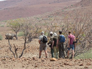 Rhino Tracking mit Reiseleiter