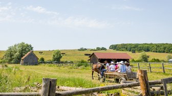Eine Gruppe von Menschen sitzt auf einem Wagen, der von einem Pferd auf einer grünen Wiese gezogen wird, umgeben von ländlicher Idylle.