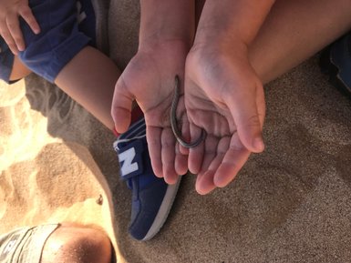 Ein Mensch hält eine kleine Schlange in der Hand - Namibia mit Jugendlichen