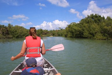 Eine Person in einem roten Schwimmwesten paddelt in einem Kanu durch ruhiges, grünes Wasser, umgeben von üppiger Vegetation.