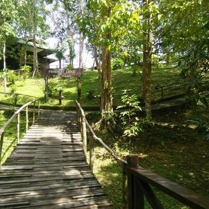 Aussenanlage der Proboscis Lodge Bukit Melapi – Malaysia & Borneo mit Kindern