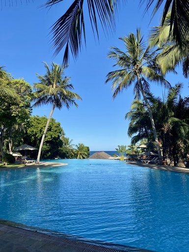 Ein glitzernder Pool erstreckt sich unter strahlend blauem Himmel, umgeben von üppigen Palmen und tropischer Vegetation.