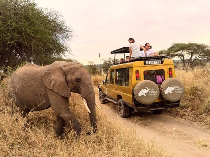 Elefant steht neben Jeep auf Safari - Tansania Safari mit Kindern