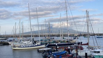 Ein malerischer Hafen mit zahlreichen Segelbooten und Yachten, umgeben von sanften Wellen und einem bewölkten Himmel.
