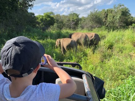 Kind fotografiert Elefanten während einer Safari im Minneriya Nationalpark – Sri Lanka Familienreise