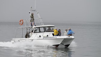 Eine Reisegruppe fährt auf einem Boot durch das Meer - Namibia Urlaub mit Kindern