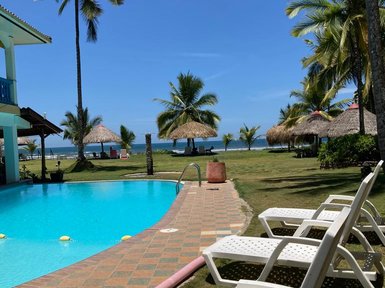Am Pool des Resorts sind mehrere Liegestühle aufgestellt, umgeben von Palmen und Blick auf das Meer.