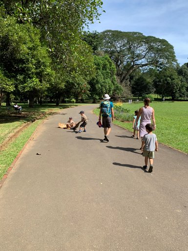 Familie spaziert durch den Botanischen Garten in Peradeniya – Sri Lanka Familienreise