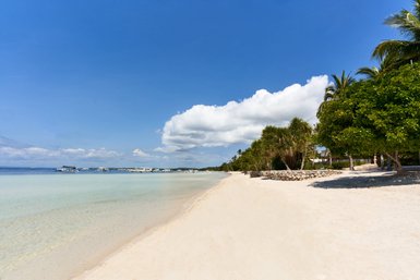 Ein malerischer Sandstrand erstreckt sich unter einem klaren blauen Himmel, umgeben von Palmen und üppigen Bäumen.