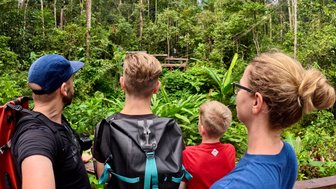 Familie besucht das Semenggoh Wildlife Center – Malaysia & Borneo Familienreise