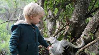 Kind läuft neugierig bei geführter Wanderung im Kariega Game Reserve – Garden Route Reise mit Kindern