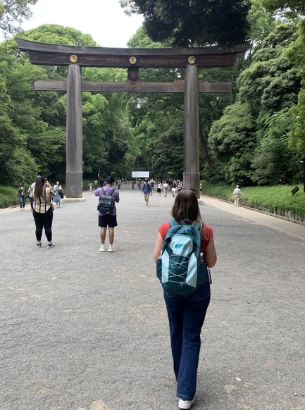 Eine Person mit einem Rucksack geht auf einen Weg zu einem großen Tor, umgeben von üppigem Grün und anderen Besuchern.