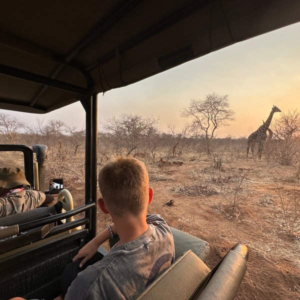 Ein Junge sitzt in einem Jeep und beobachtet eine Giraffe, die vor einem Sonnenuntergang in der Savanne steht.