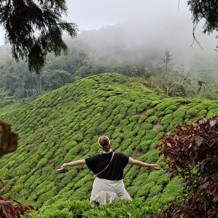 Teenager genießt Ausblick beim Ausflug zu den BOH Tea Plantations - Malaysia Familienreise 