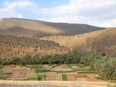 Vom Jebel Shams aus eröffnet sich ein Panorama aus grünen Palmenhainen und zerklüfteten Bergketten – Oman mit Kindern