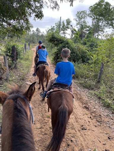 Drei Kinder reiten auf Pferden einen schmalen, staubigen Weg, umgeben von üppigem Grün und Bäumen.