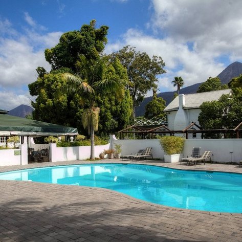 Ein einladender Pool umgeben von üppigem Grün und Bäumen, ideal für Entspannung und Erholung im Freien.