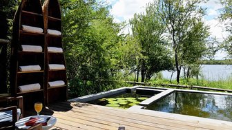 Ein ruhiger Außenbereich mit einem Holzdeck, umgeben von Bäumen und einem kleinen Teich mit Seerosen.