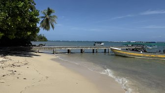 Ein malerischer Strand mit feinem Sand und sanften Wellen, umgeben von palmengesäumtem Wasser und Holzsteg.