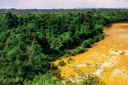 Ein breiter, brauner Fluss schlängelt sich durch üppiges, grünes Dschungelgebiet, umgeben von hohen Bäumen und Pflanzen.