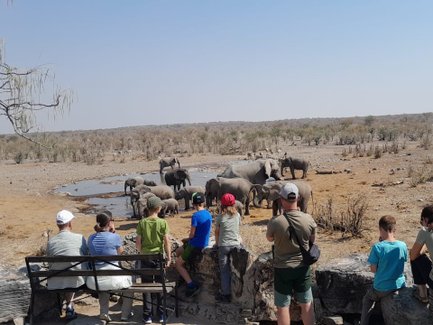 Eine Reisegruppe beobachtet interessiert einer Herde Elefanten am Wasserloch - Namibia mit Kindern 
