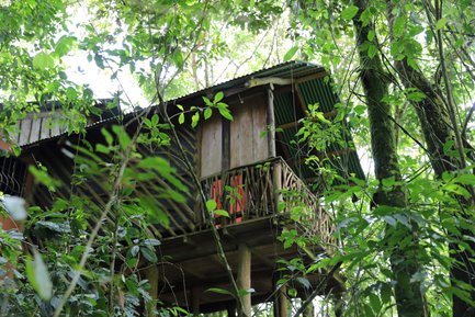 Baumhaus Unterkunft in der La Tigra Rainforest Lodge – Costa Rica Reise mit Kindern