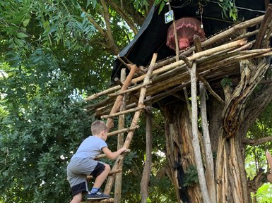 Zwei Kinder steigen eine Holzleiter zu einem Baumhaus auf der Ritigala Farm – Sri Lanka Familienreise