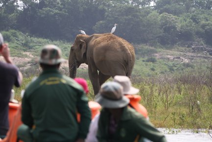 Familie im Safari-Jeep beobachtet einen Elefanten in der Natur – Sri Lanka mit Kindern