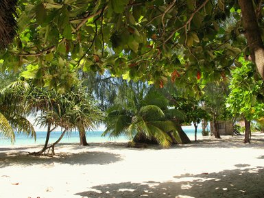 Weißer Sandstrand mit türkisblauem Wasser auf Sansibar – Tansania Reise mit Kindern