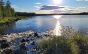 Seeufer - Schweden for family Huskyabenteuer