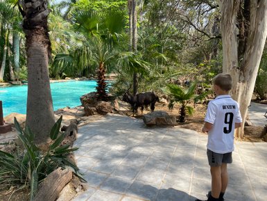 Ein Kind beobachtet neugierig ein Tier, das sich dem Pool im Makutsi Game Reserve nähert – Südafrika Reise mit Kindern