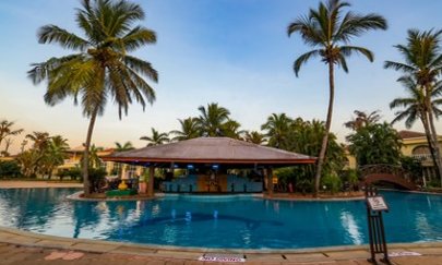 Ein einladender Poolbereich im Zuri White Sands Resort in Goa, umgeben von Palmen und einem klaren Himmel.