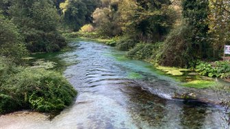 Ein klarer Fluss schlängelt sich durch üppiges Grün, umgeben von Bäumen und sanften Hügeln im Hintergrund.