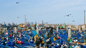 Holzboote dicht aneinandergereiht im Hafen von Essaouira – Marokko Reise mit Kindern