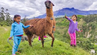 Zwei Kinder stehen auf einer grünen Wiese, während sie eine Llama mit einer Leine halten und fröhlich lächeln.