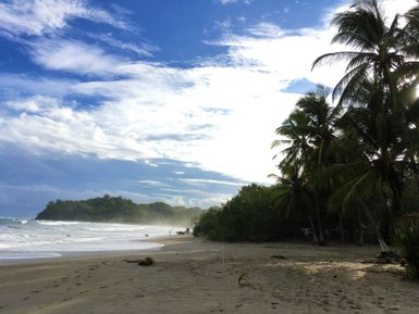 Palmen wiegen sich am sonnigen Strand unter strahlend blauem Himmel in Cahuita – Costa Rica Familienreise