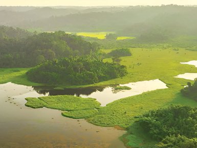 Eine weite, grüne Landschaft mit einem ruhigen Gewässer, umgeben von üppiger Vegetation und sanften Hügeln im Hintergrund.