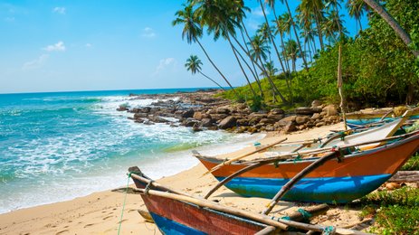 Sandstrand mit Booten neben dem klaren Wasser und Palmen im Hintergrund – Sri Lanka mit Kindern