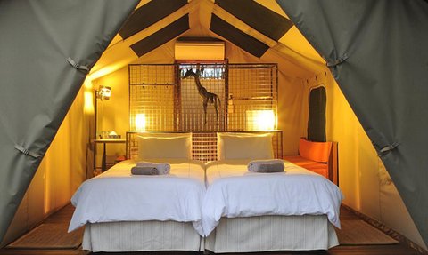 Zelt Erongo Rocks Camping - Namibia Reise mit Kindern