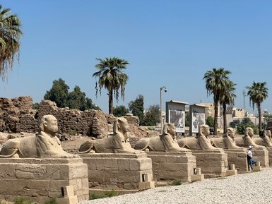 Sphinxe in der berühmten Allee des Tempels von Luxor – Ägypten Reise mit Kindern