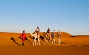 Eine Gruppe von Touristen reitet auf Kamelen durch die goldenen Sanddünen einer Wüste unter klarem Himmel.
