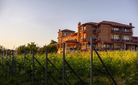 Ein malerisches Weingut mit einem charmanten, roten Backsteingebäude, umgeben von üppigen Weinreben im sanften Licht der Abenddämmerung.