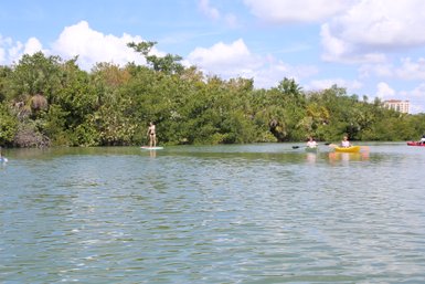 Eine Frau steht auf einem Paddleboard in einem ruhigen Gewässer, umgeben von üppigem Grün und strahlend blauem Himmel.
