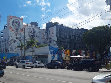 Eine lebendige Straßenszene in Wynwood, Miami, mit beeindruckenden Wandmalereien und blauen Himmel im Hintergrund.