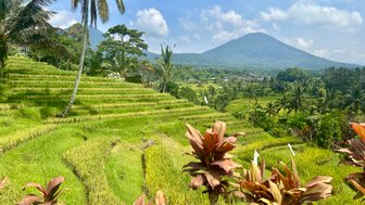 Üppig grüne Reisterrassen von Jatiluwih auf Bali – Bali Familienreise