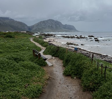 Holzsteg führt entlang der Küste von Betty's Bay mit Blick auf das Meer – Garden Route mit Kindern