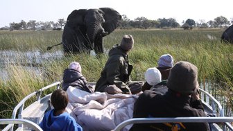 Eine Gruppe von Menschen beobachtet einen Elefanten, der durch das hohe Gras am Wasser wandert, während sie auf einem Boot sitzen.
