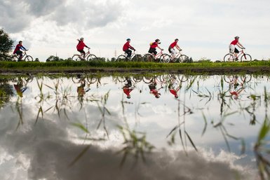 Sechs Radfahrer in roten Trikots fahren entlang eines schmalen Weges, während ihre Reflexionen im Wasser sichtbar sind.