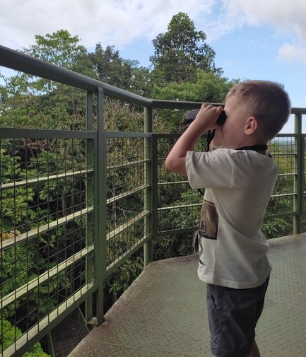 Kind blickt durch ein Fernglas und entdeckt die grüne Natur im Sepilok Rainforest Discovery Centre – Malaysia & Borneo Reise mit Kindern